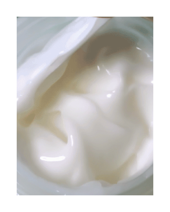 primera Alpine Berry Water Cream 50ml